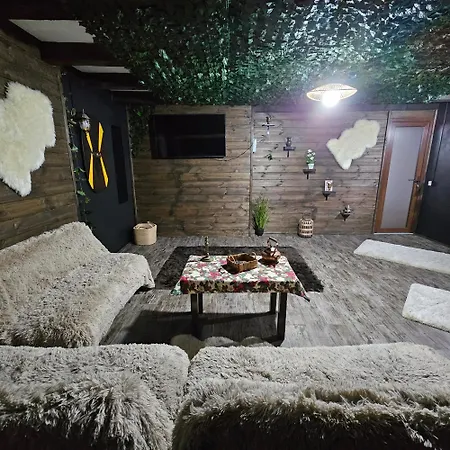 Pensjonat Vila Maria Sebes Săsciori