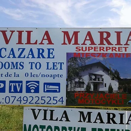 Vila Maria Sebes *