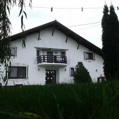 Pensjonat Vila Maria Sebes Săsciori