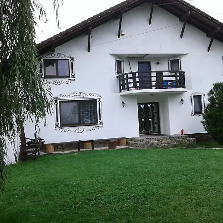 Pensjonat Vila Maria Sebes *