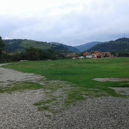 Vila Maria Sebes *