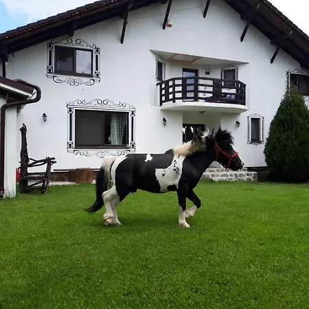 Vila Maria Sebes * Săsciori